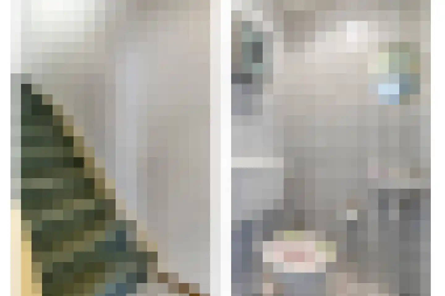Merelhof 4 Weert thumbnail 6