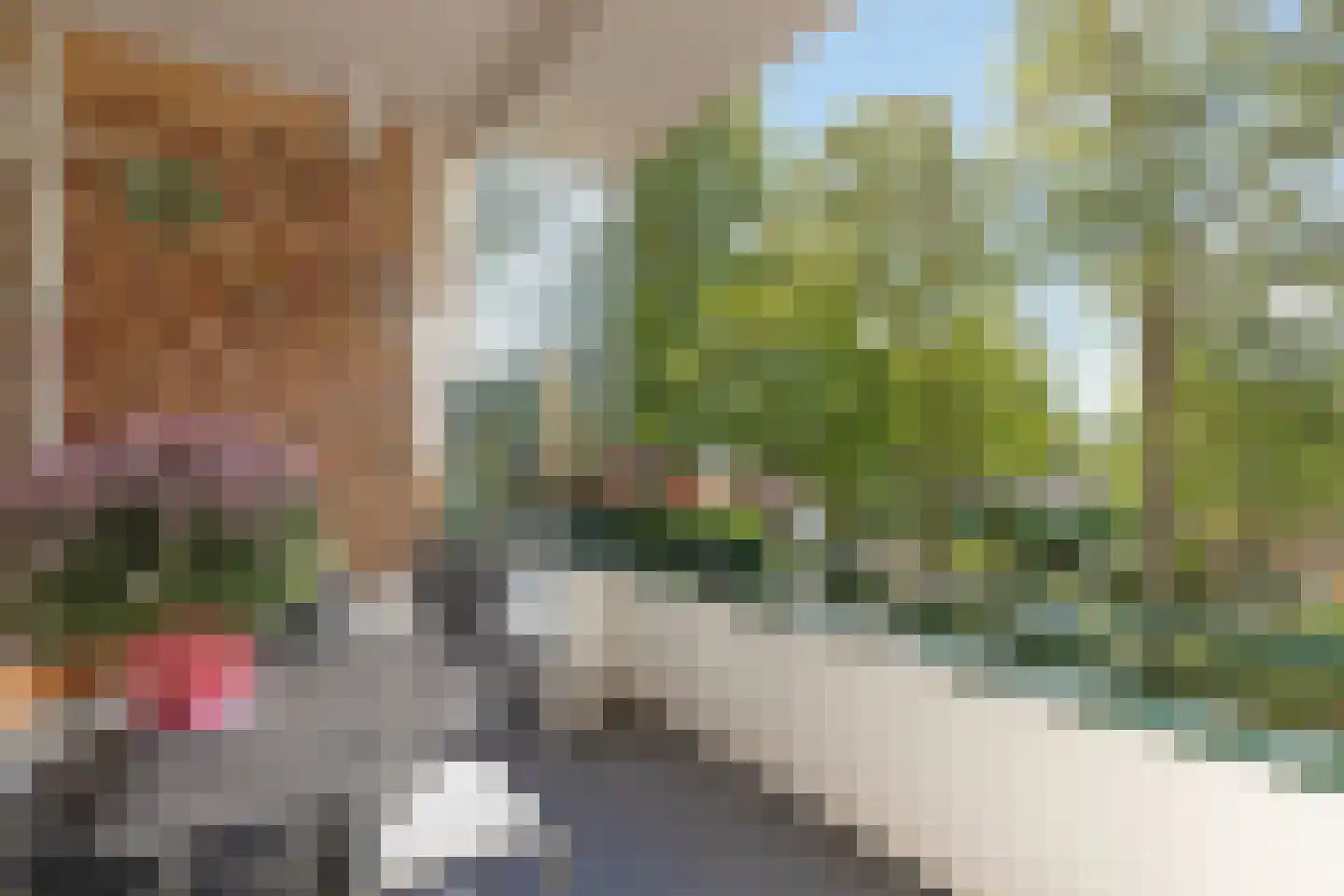 Merelhof 45 Bussum thumbnail 18