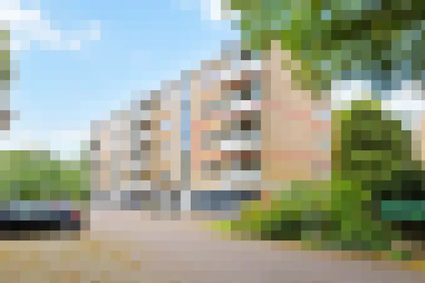 Merelhof 45 Bussum thumbnail 28