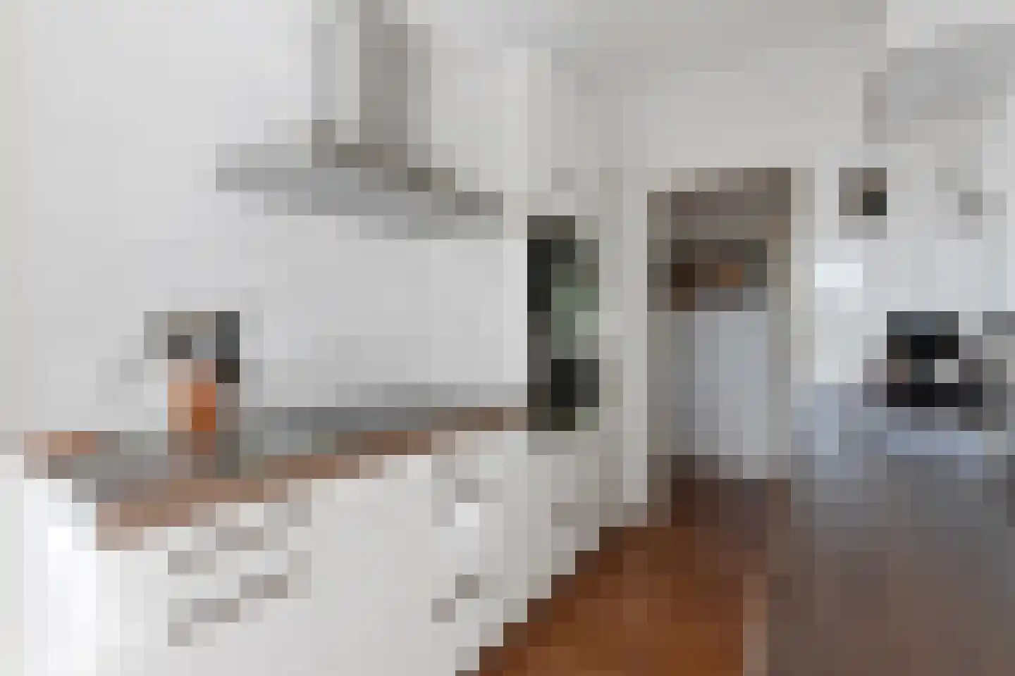 Merelhof 45 Bussum thumbnail 4