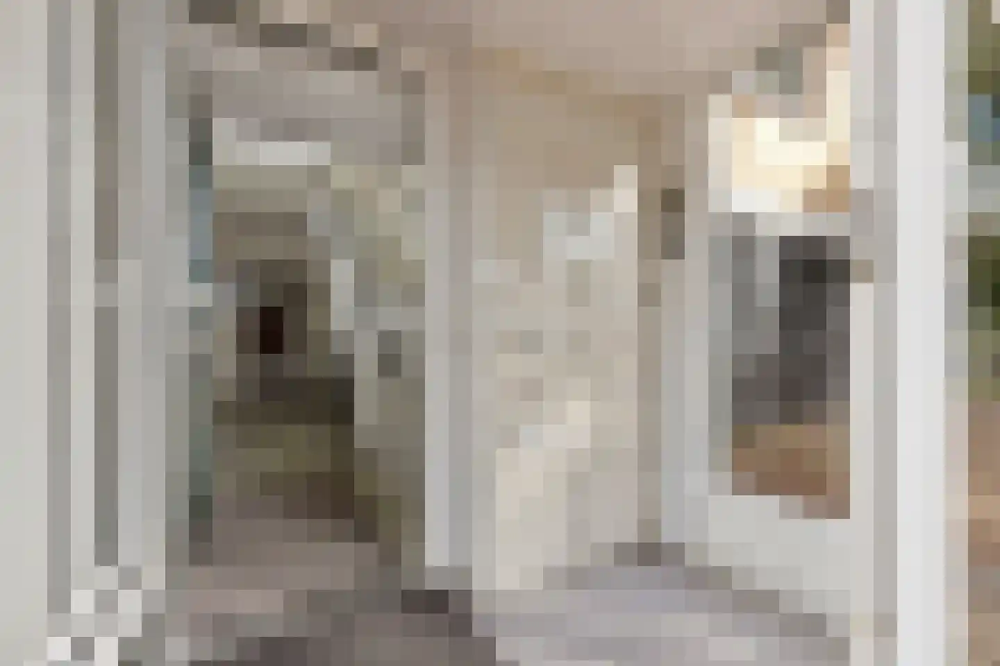 Merelhof 45 Bussum thumbnail 7