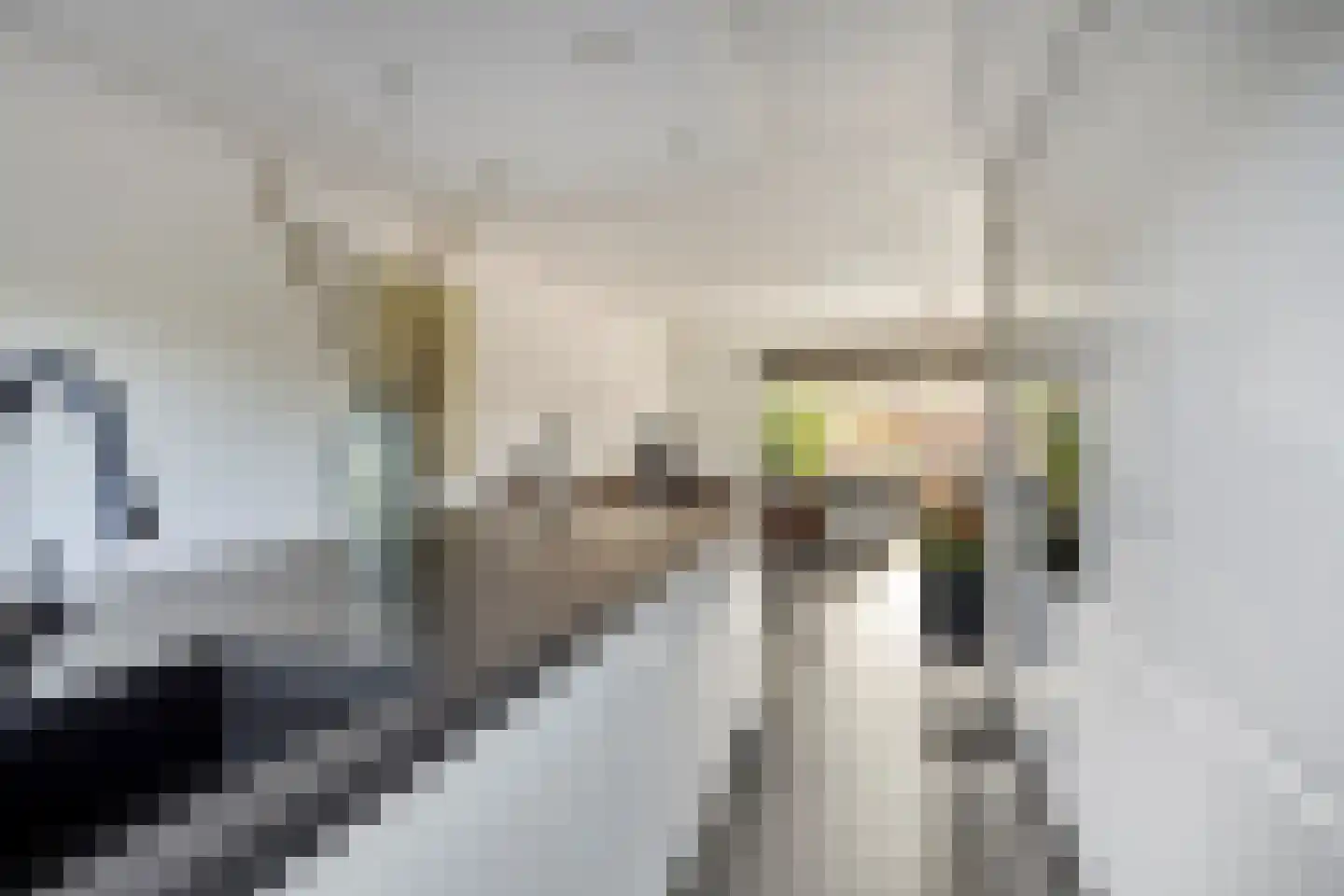Merelhof 7 Zeewolde thumbnail 18