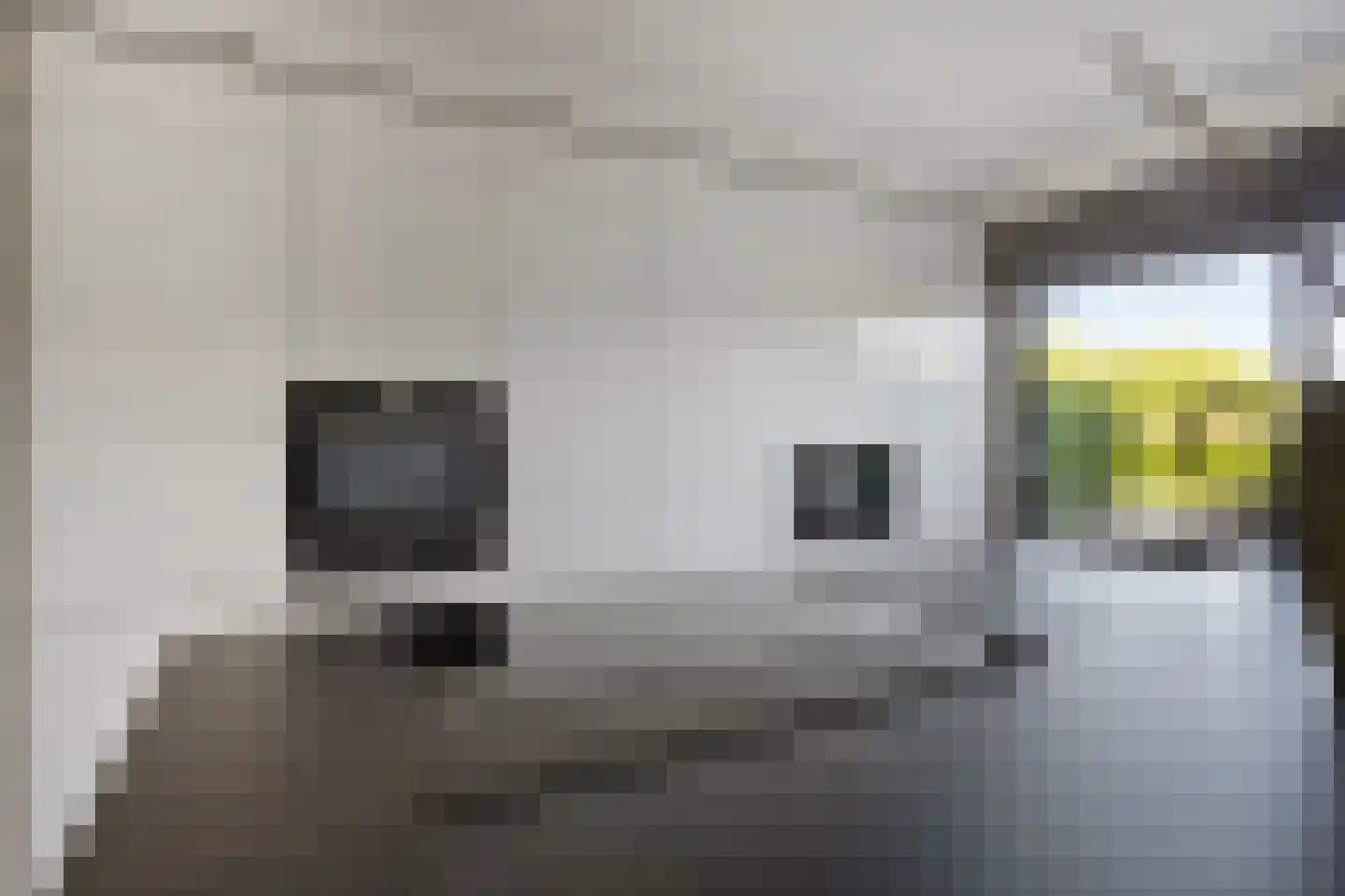 Merelhof 7 Zeewolde thumbnail 20