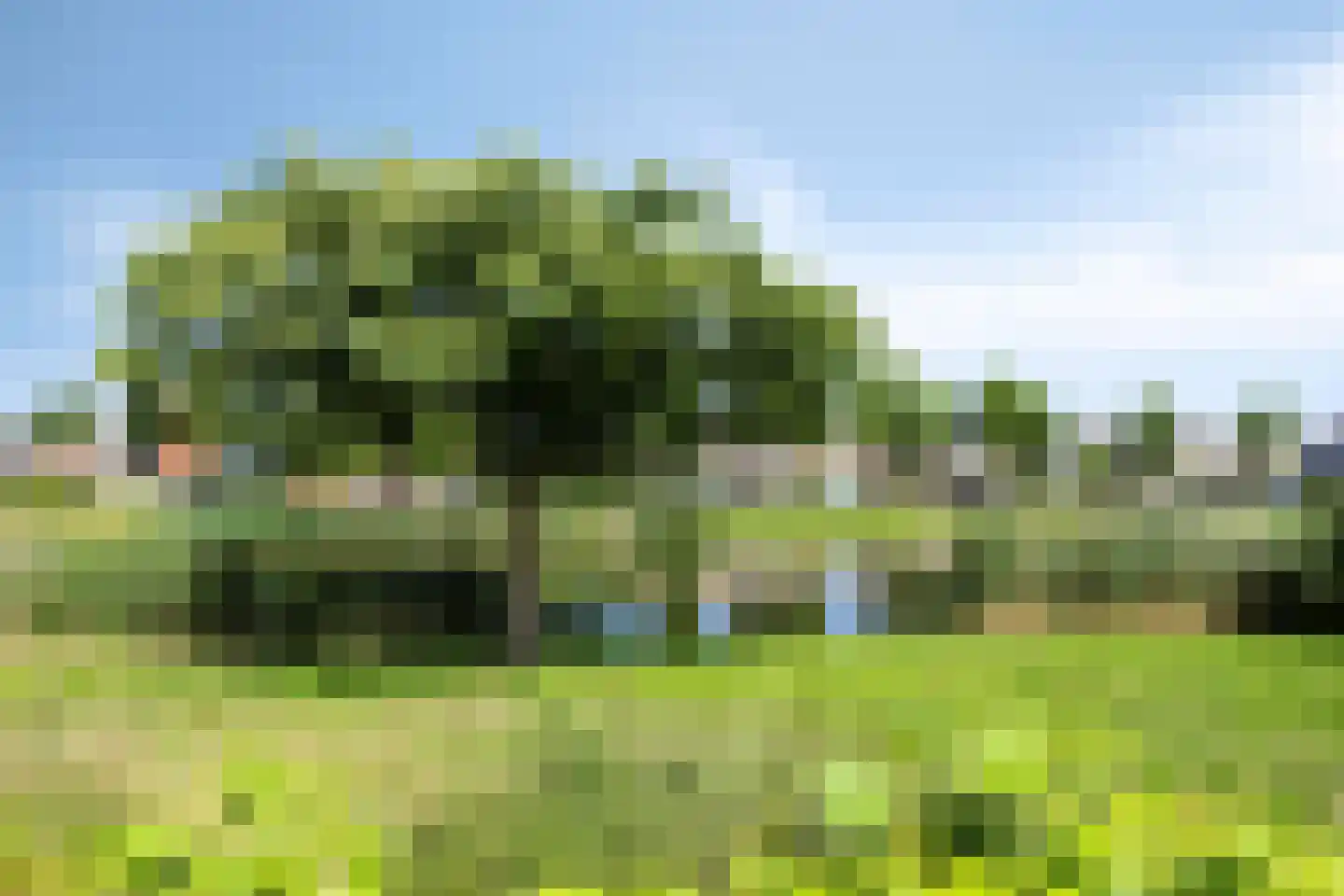 Merelhof 7 Zeewolde thumbnail 41