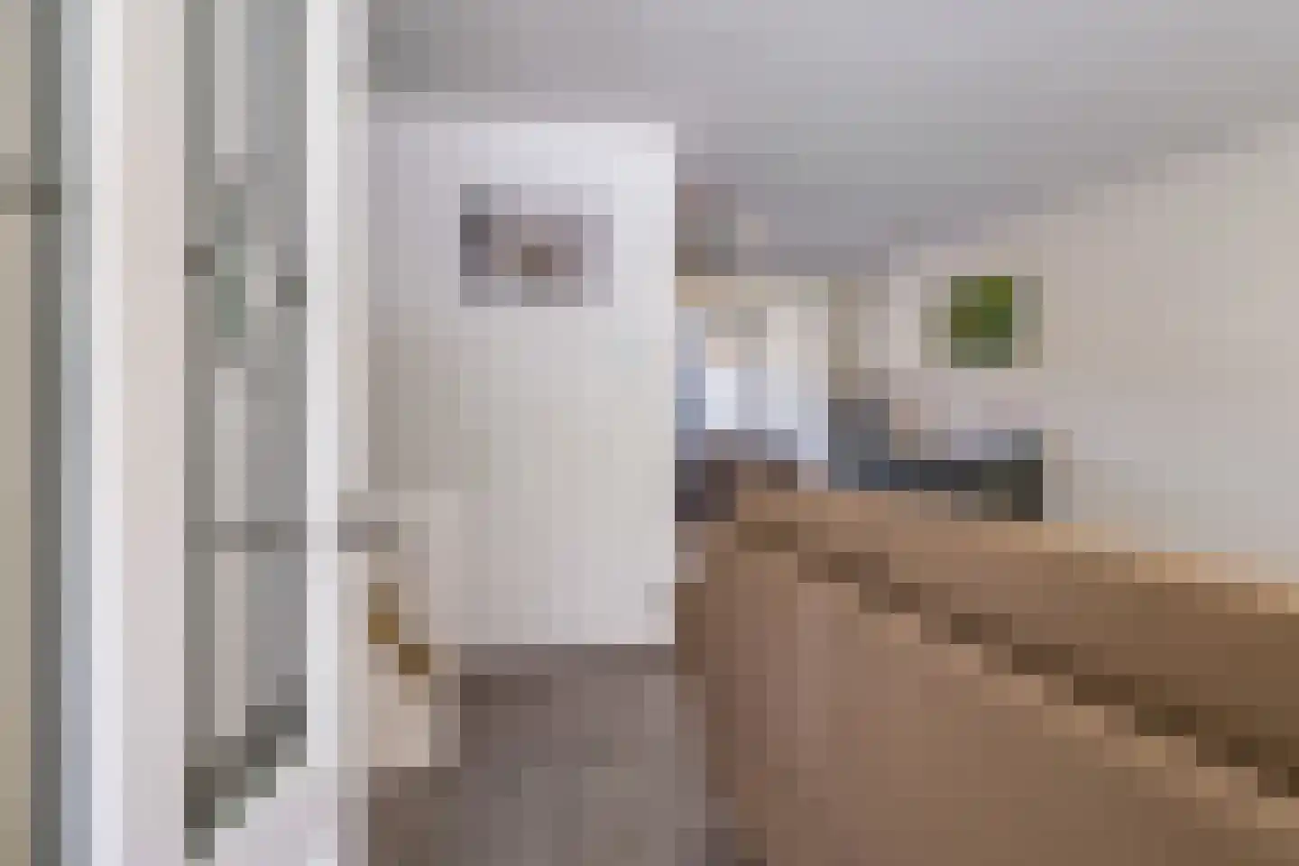 Merelhof 8 Dodewaard thumbnail 10