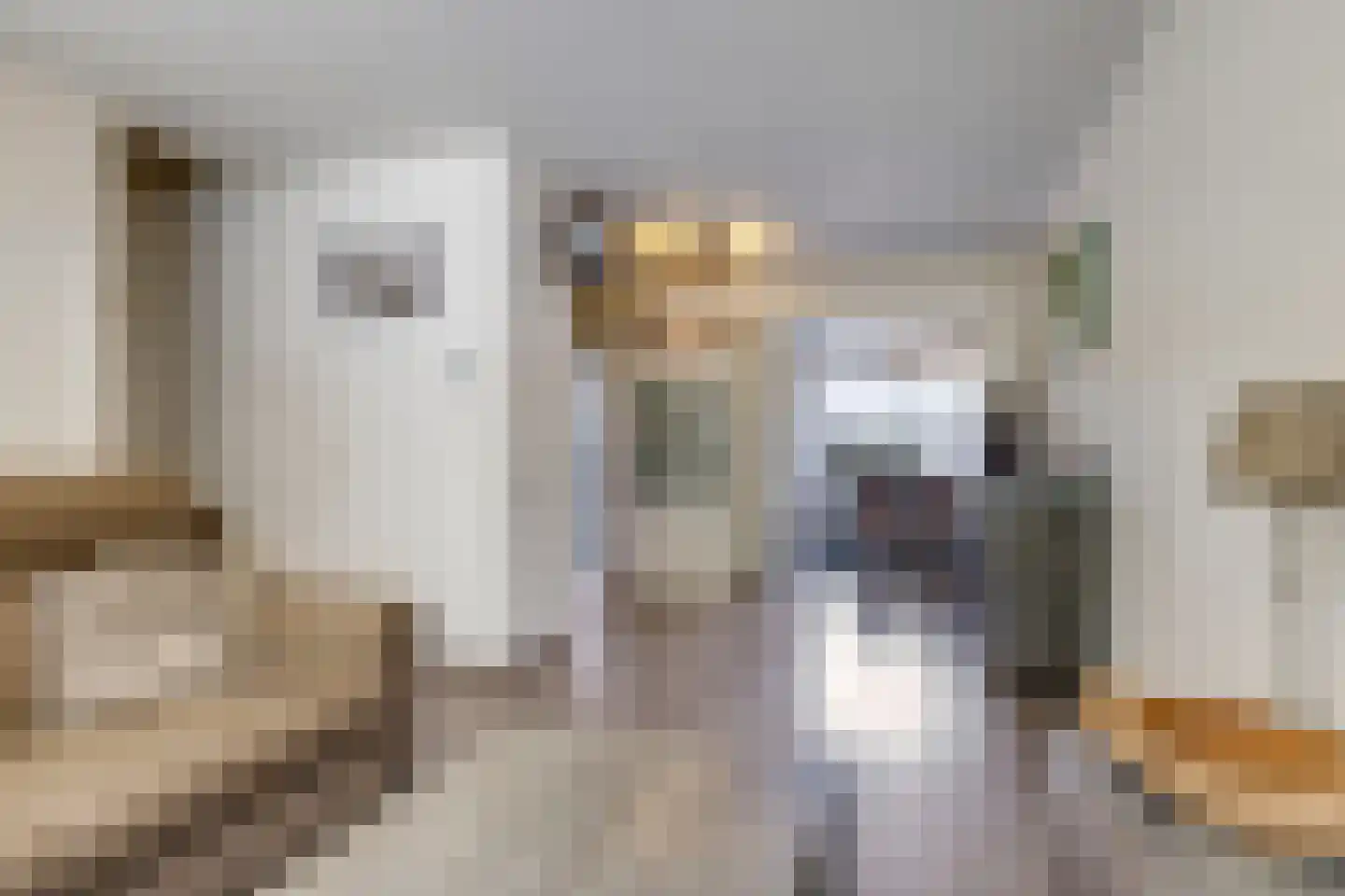 Merelhof 8 Dodewaard thumbnail 13
