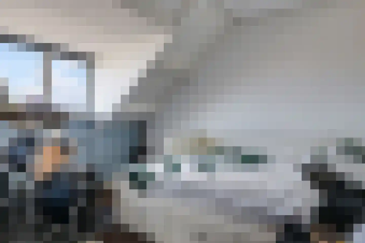 Merelhof 8 Dodewaard thumbnail 42