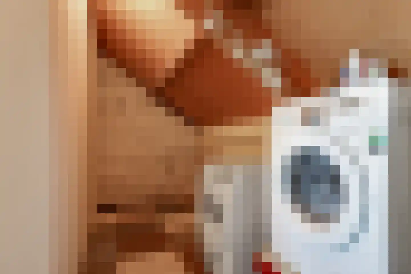 Merelhof 8 Dodewaard thumbnail 44