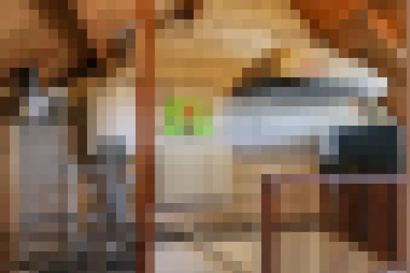Merelhof 8 Dodewaard thumbnail 46