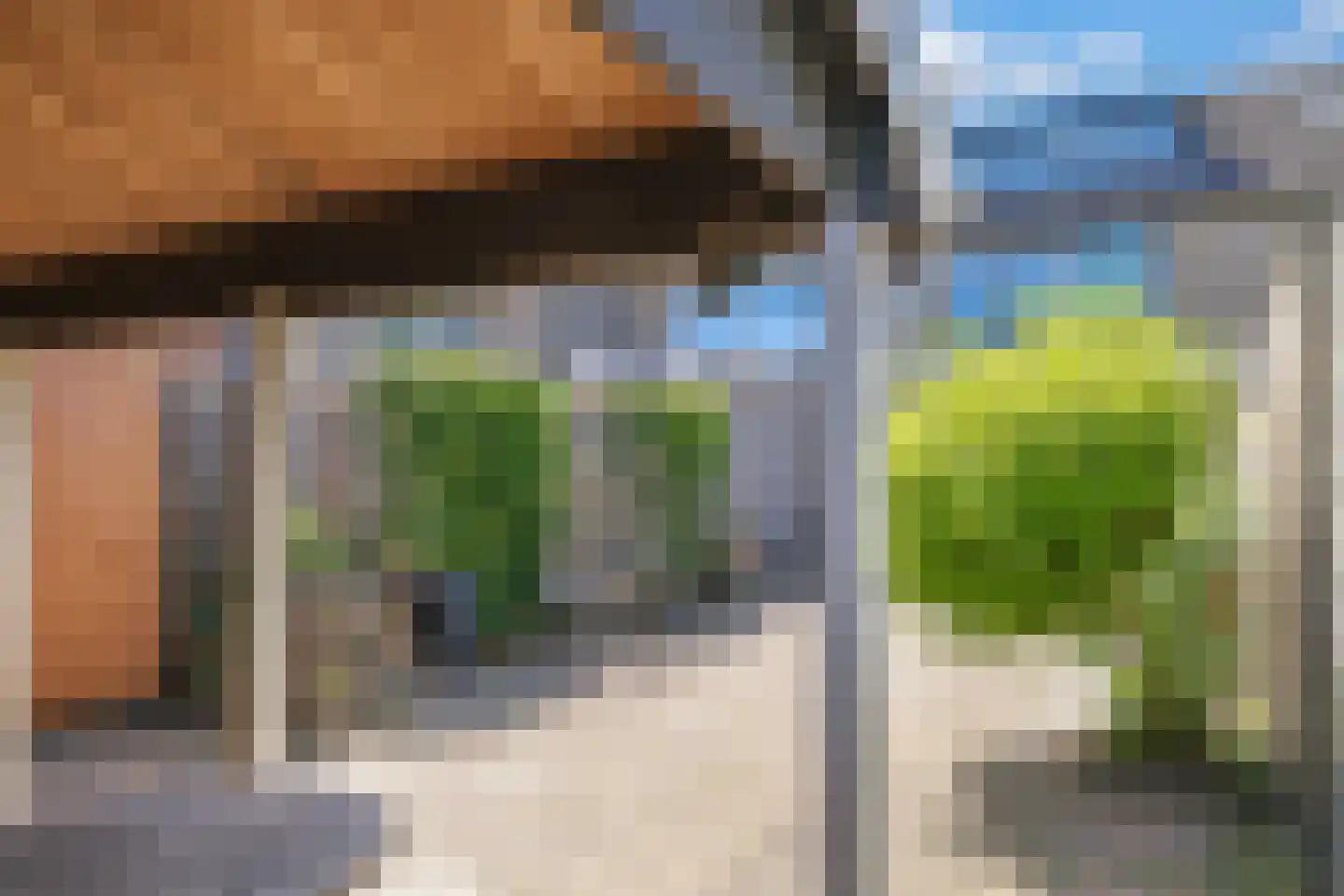 Merelhof 8 Dodewaard thumbnail 63