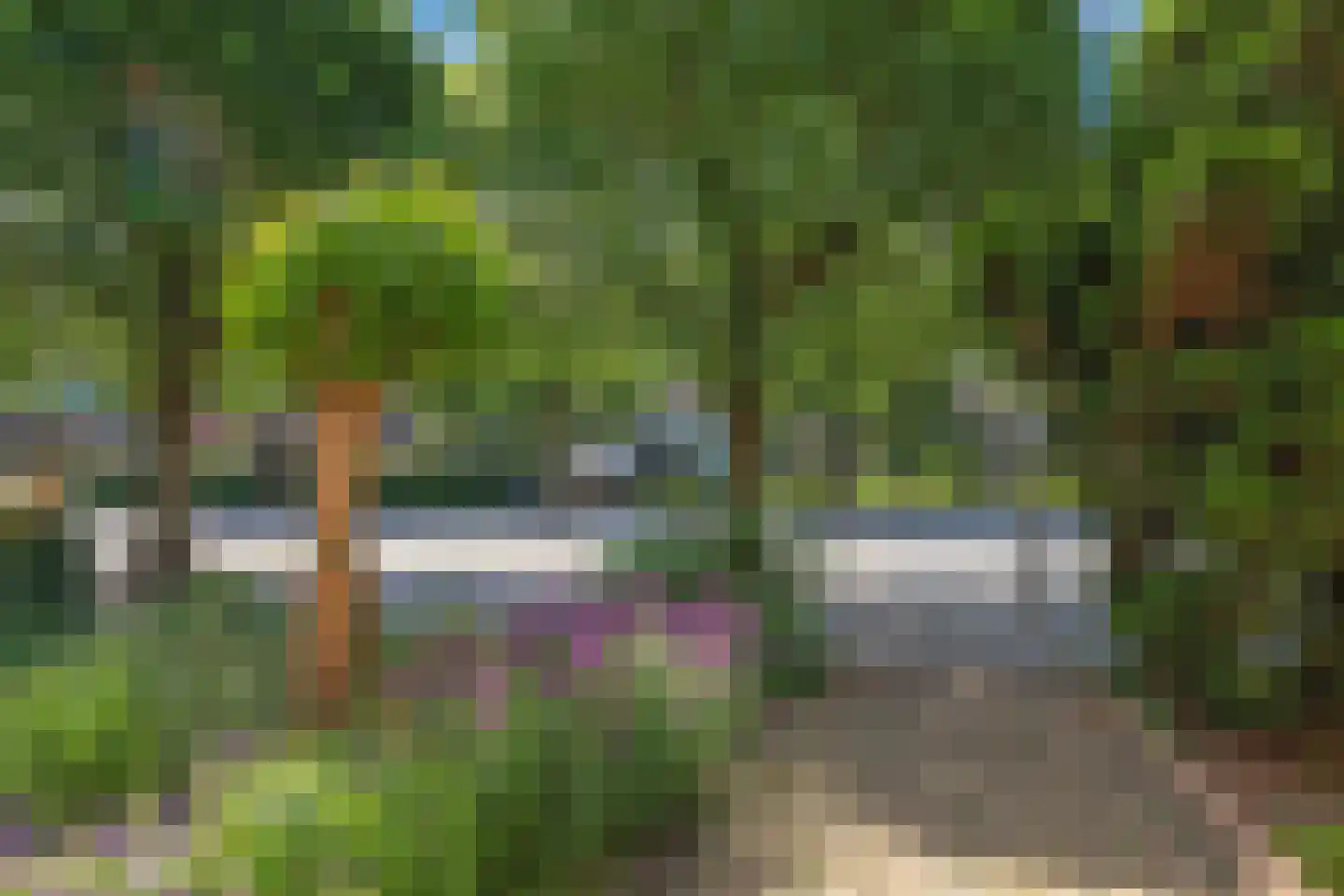 Merelhof 8 Dodewaard thumbnail 67