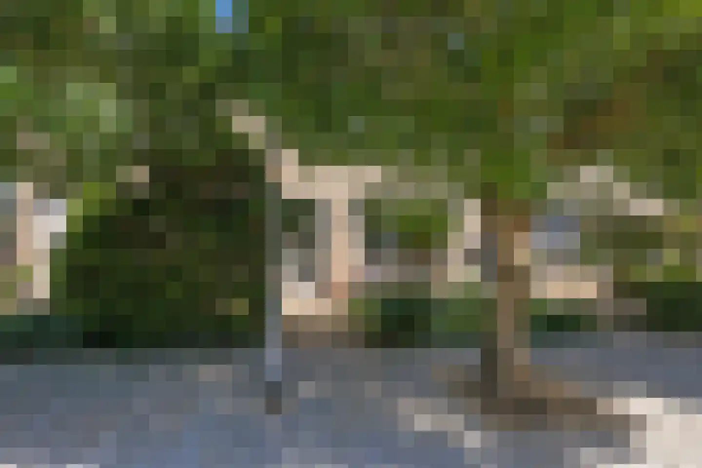 Merelhof 8 Dodewaard thumbnail 68