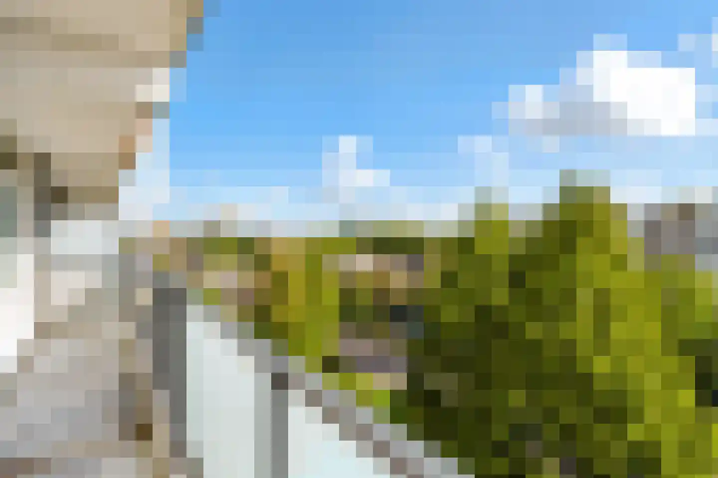 Merelhoven 101 Capelle aan den IJssel thumbnail 13