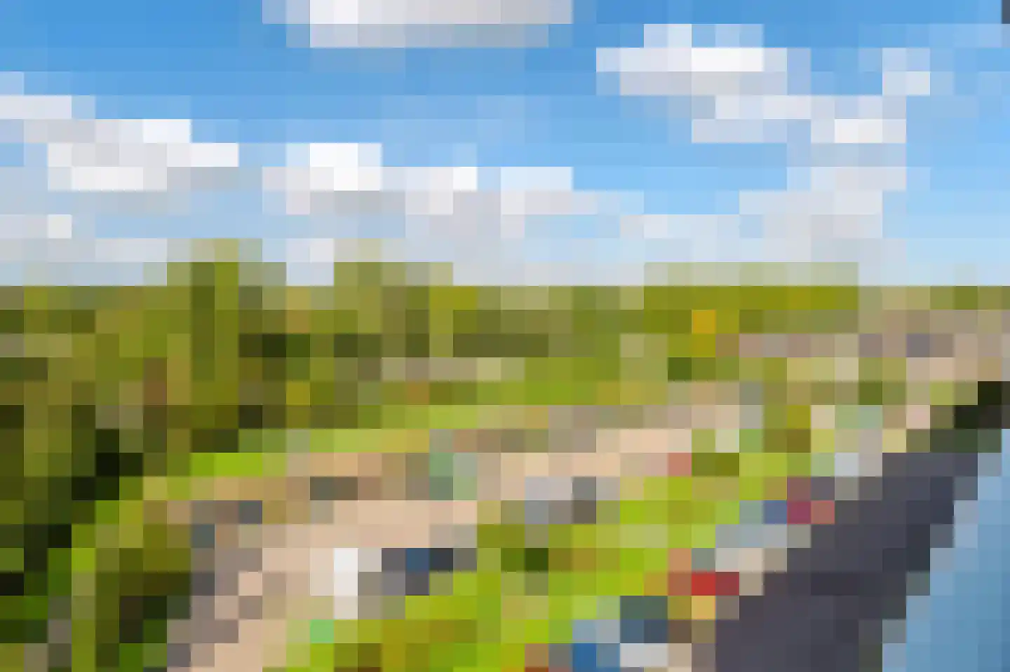 Merelhoven 101 Capelle aan den IJssel thumbnail 16