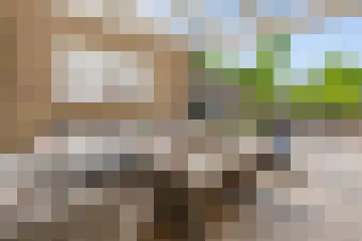 Merelhoven 108 Capelle aan den IJssel thumbnail 10