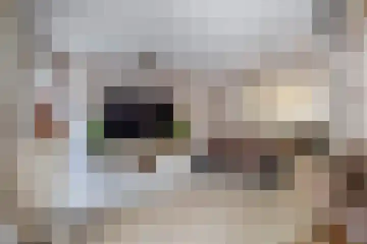Merelhoven 108 Capelle aan den IJssel thumbnail 17