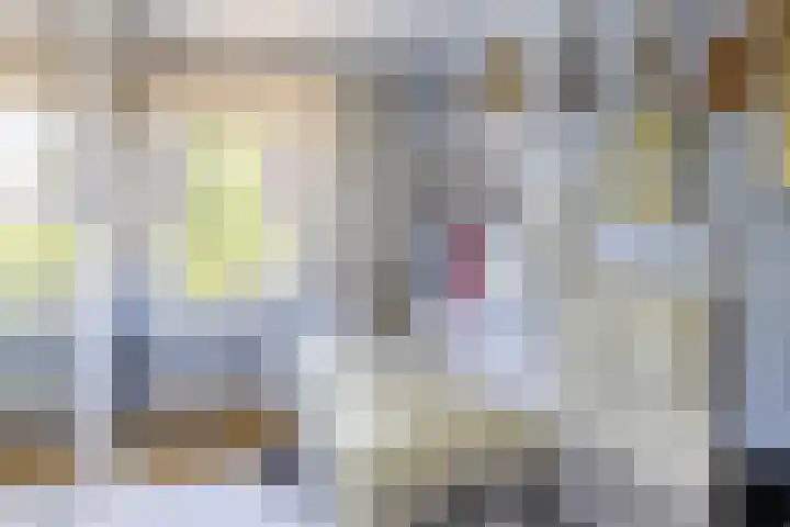 Merelhoven 108 Capelle aan den IJssel thumbnail 31