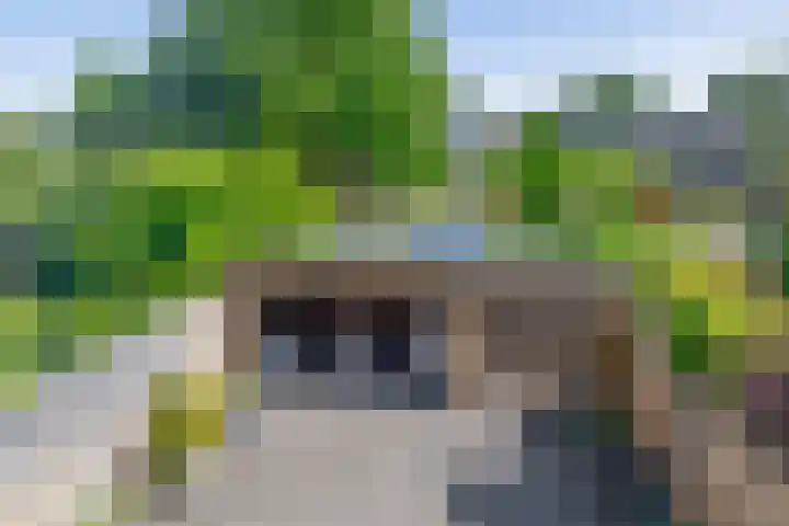 Merelhoven 108 Capelle aan den IJssel thumbnail 40