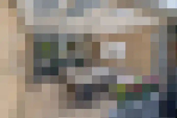 Merelhoven 108 Capelle aan den IJssel thumbnail 8