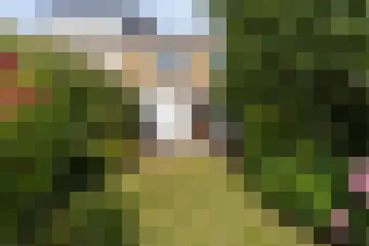 Merelhoven 225 Capelle aan den IJssel thumbnail 12