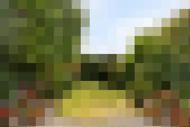 Merelhoven 225 Capelle aan den IJssel thumbnail 15