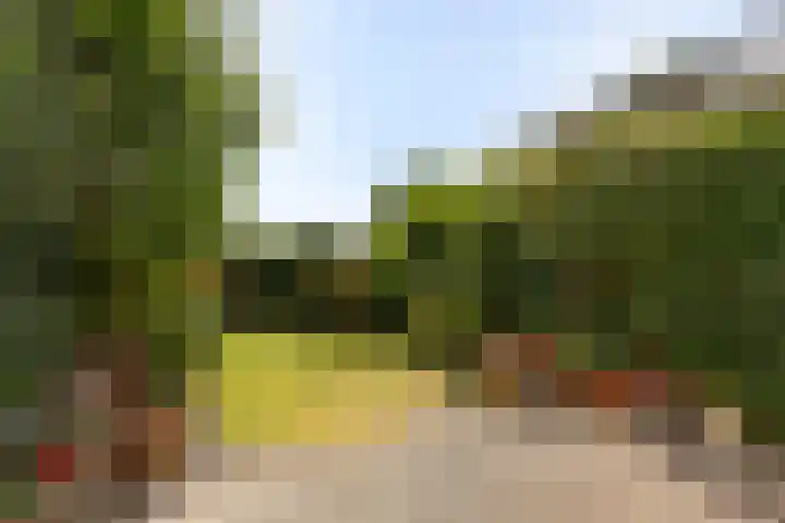 Merelhoven 225 Capelle aan den IJssel thumbnail 16