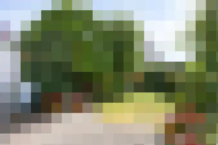 Merelhoven 225 Capelle aan den IJssel thumbnail 17