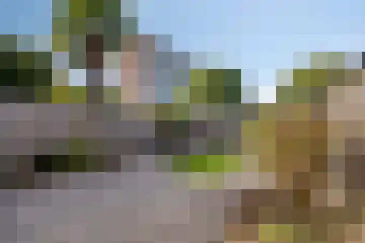 Merelhoven 229 Capelle aan den IJssel thumbnail 19