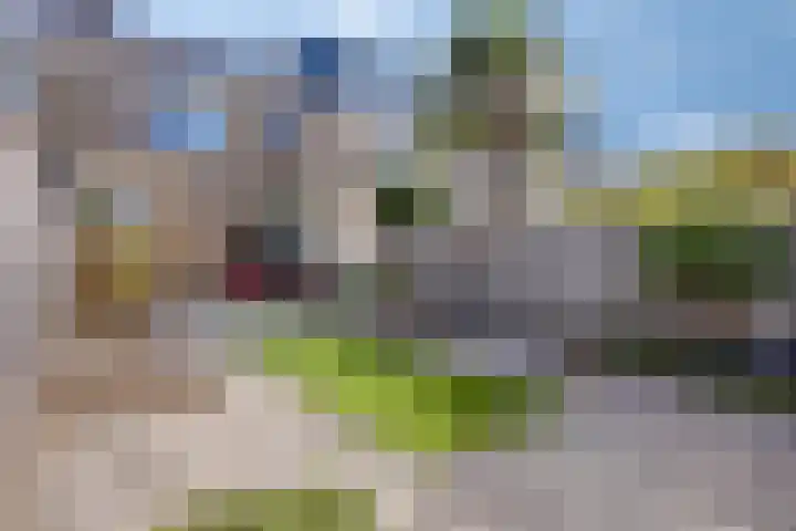 Merelhoven 229 Capelle aan den IJssel thumbnail 20