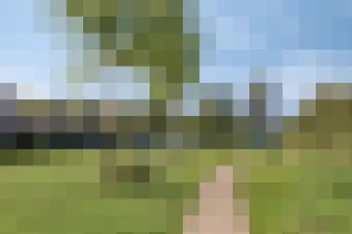 Merelhoven 229 Capelle aan den IJssel thumbnail 22