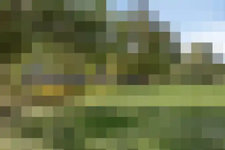 Merelhoven 229 Capelle aan den IJssel thumbnail 23