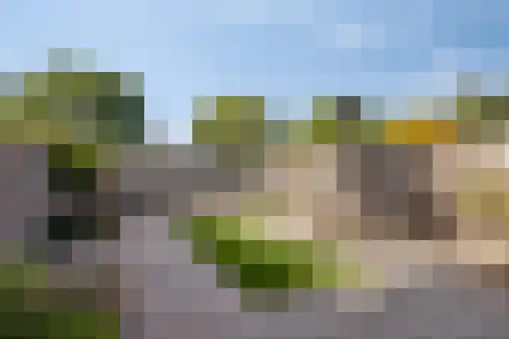 Merelhoven 229 Capelle aan den IJssel thumbnail 4