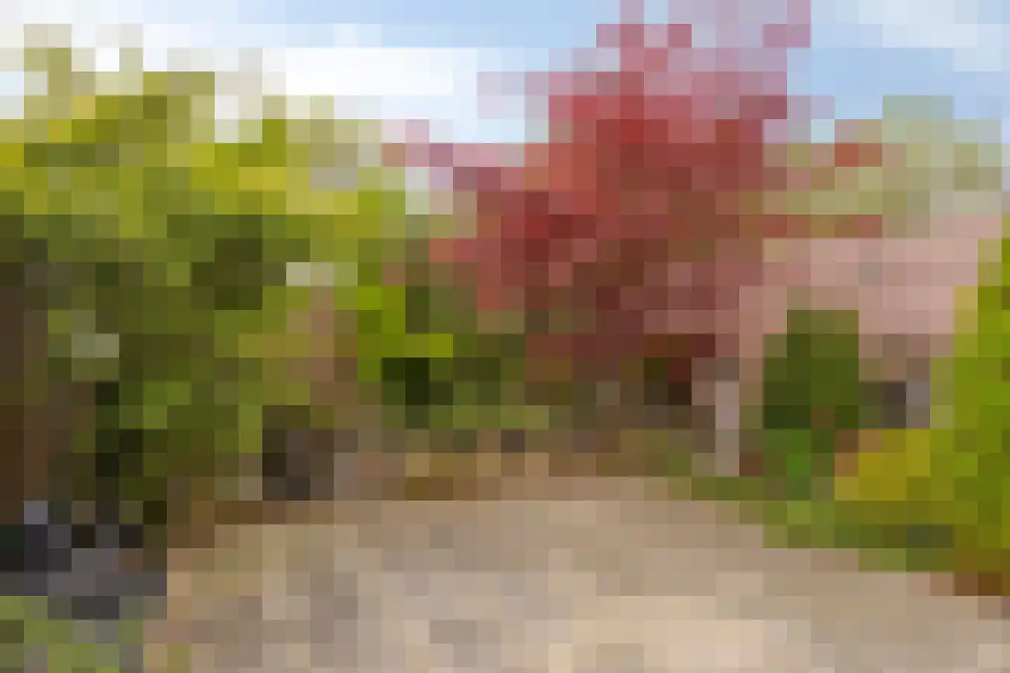 Merelhoven 233 Capelle aan den IJssel thumbnail 8