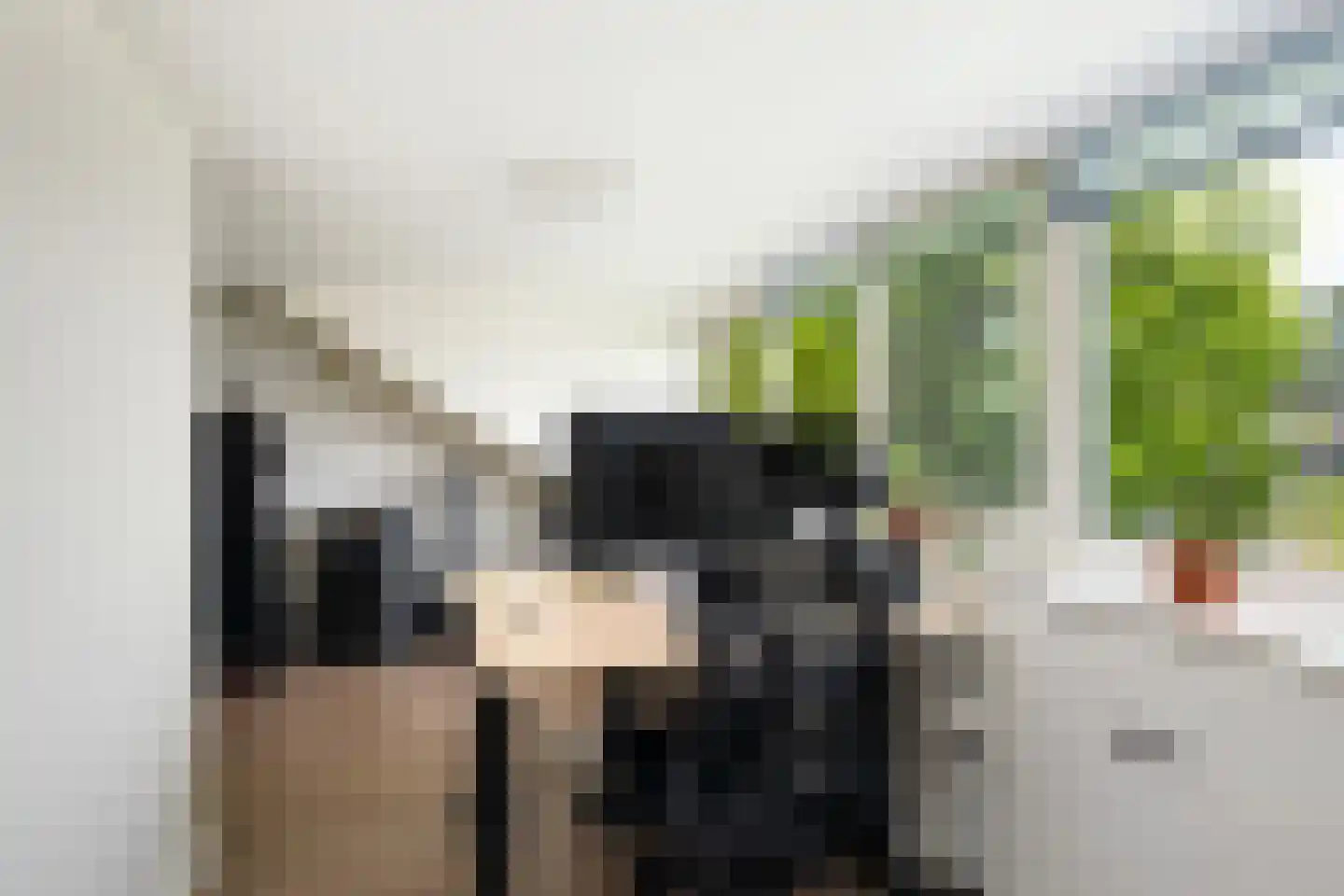Merelhoven 273 Capelle aan den IJssel thumbnail 36