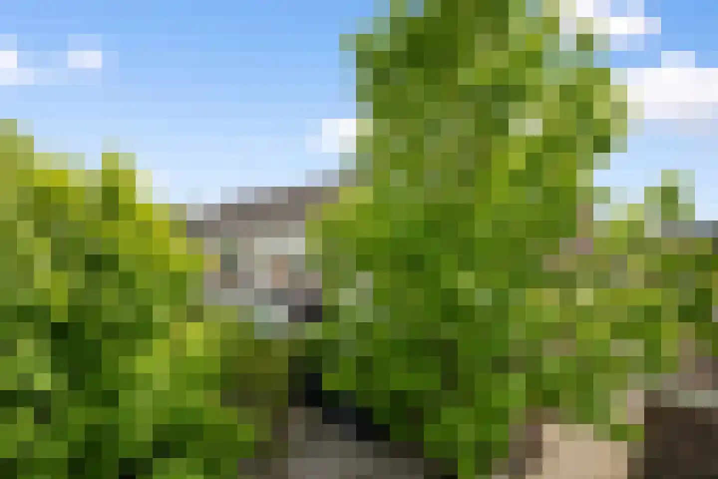 Merelhoven 273 Capelle aan den IJssel thumbnail 47