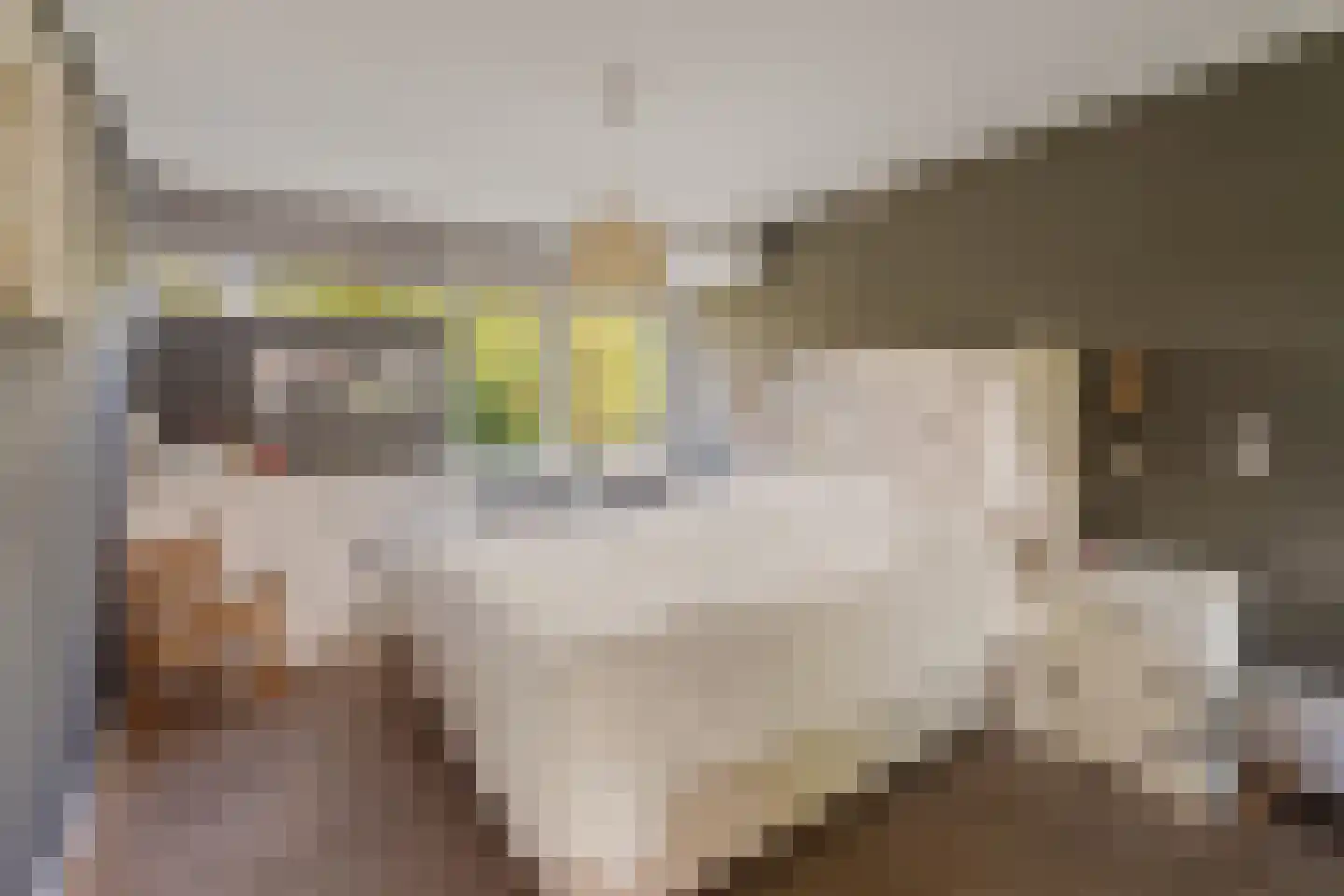 Merelhoven 343 Capelle aan den IJssel thumbnail 18
