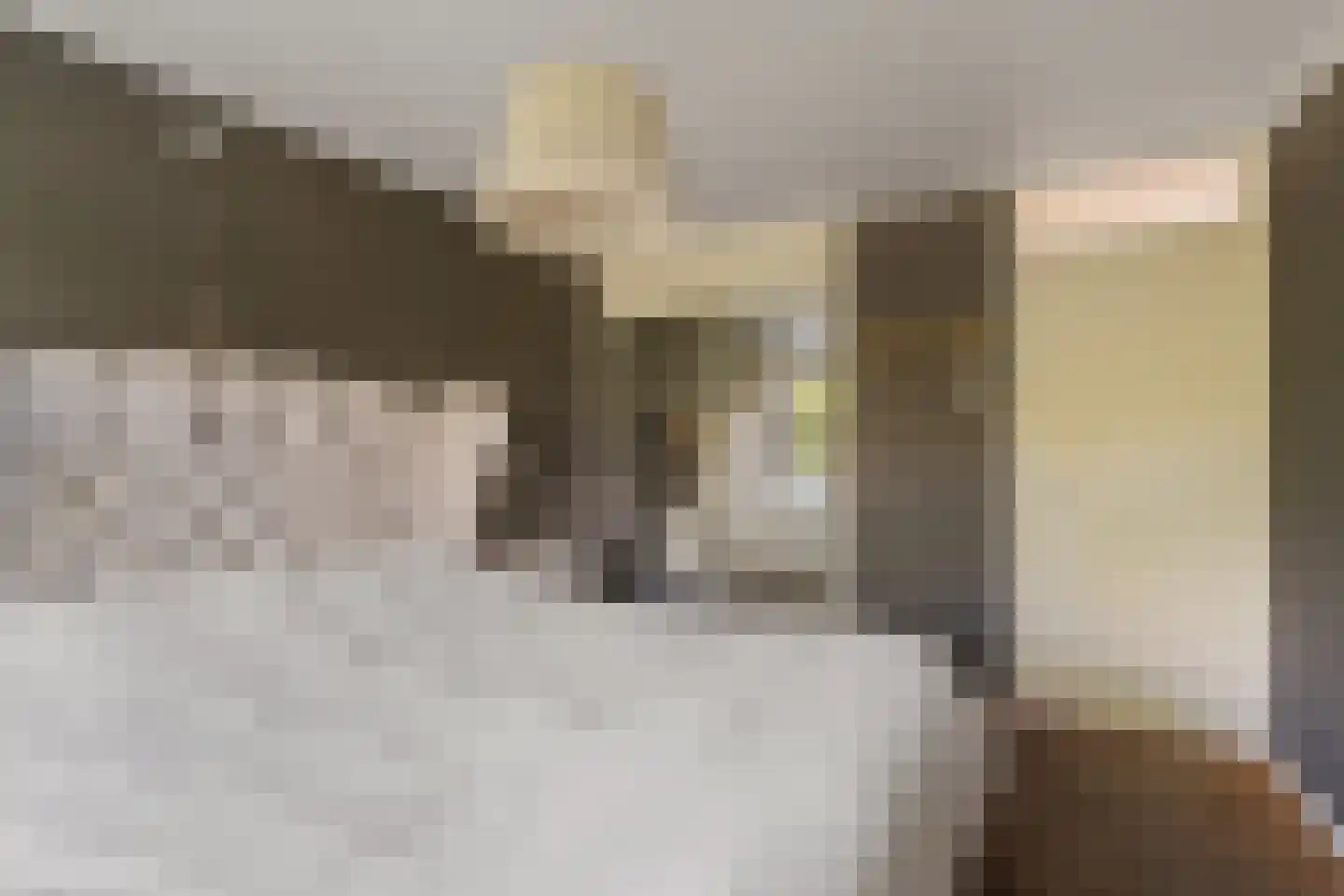 Merelhoven 343 Capelle aan den IJssel thumbnail 19