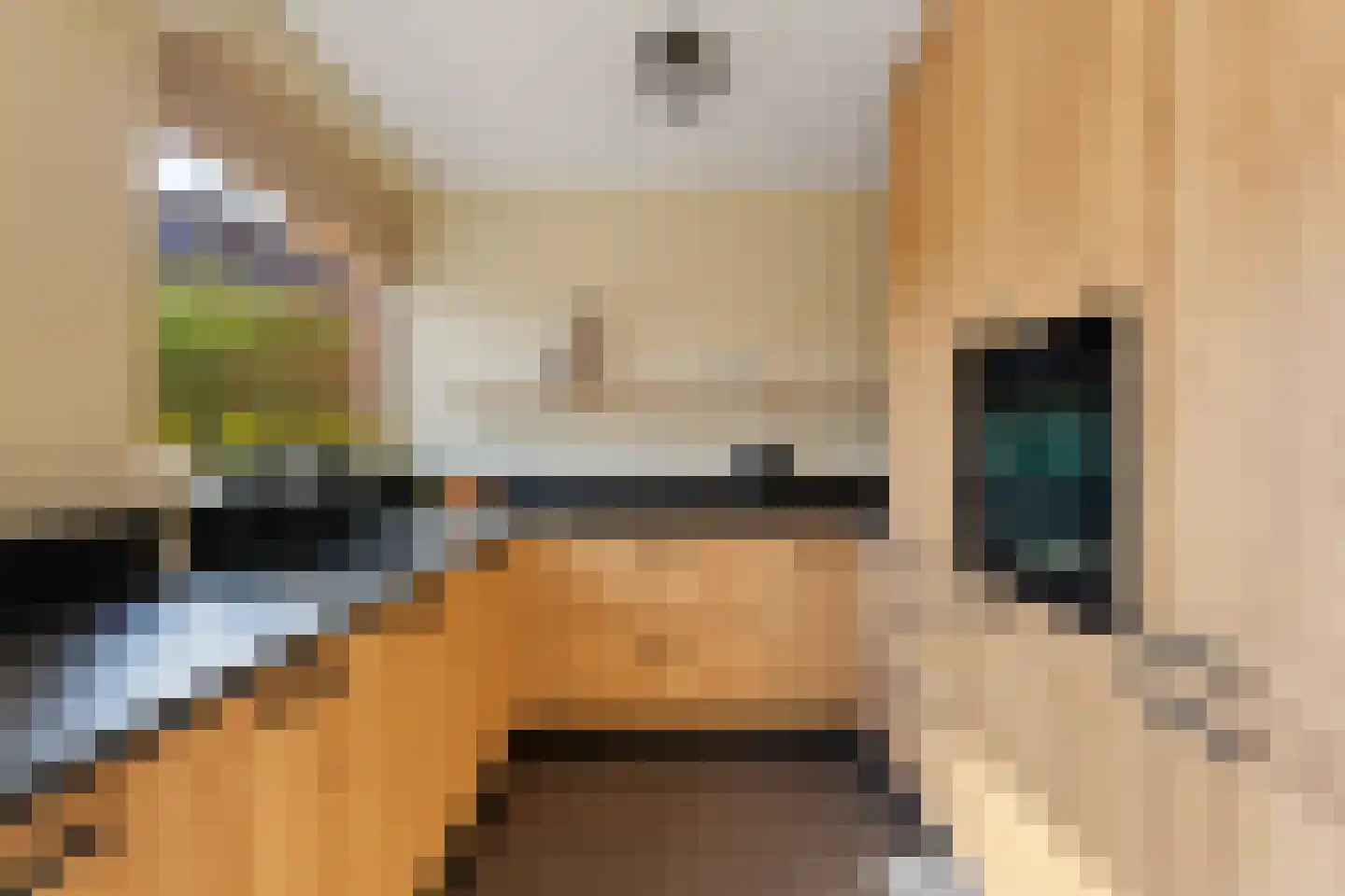 Merelhoven 343 Capelle aan den IJssel thumbnail 4