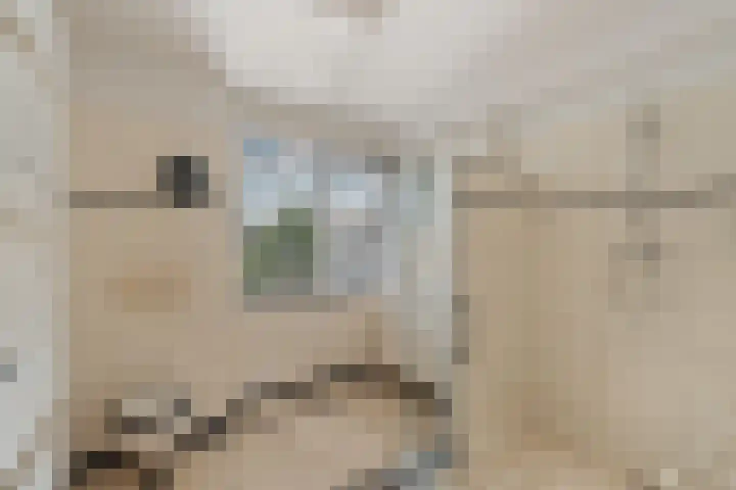 Merelhoven 343 Capelle aan den IJssel thumbnail 5