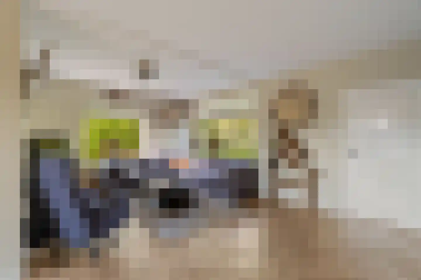 Merelhoven 343 Capelle aan den IJssel thumbnail 8