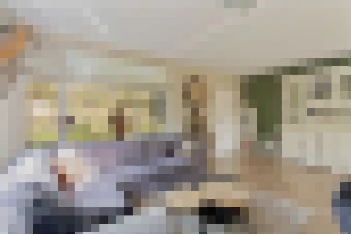 Merelhoven 343 Capelle aan den IJssel thumbnail 9