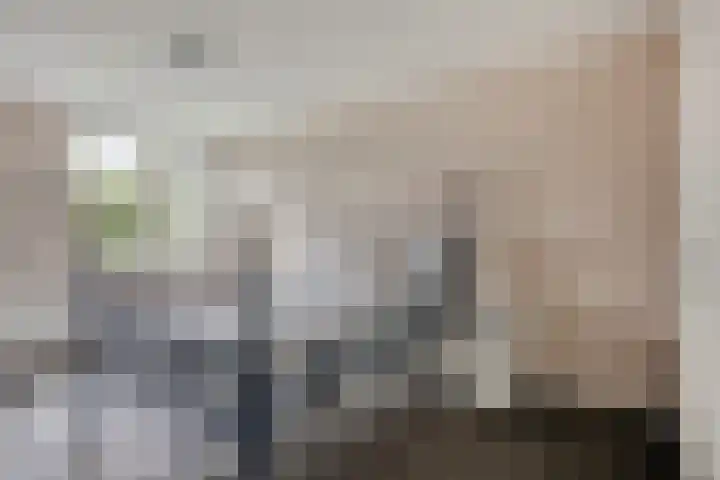 Merelhoven 353 Capelle aan den IJssel thumbnail 12