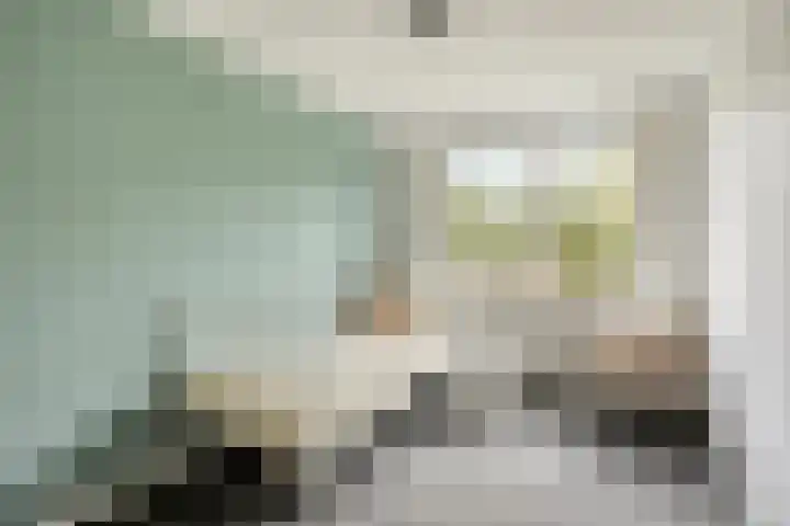 Merelhoven 353 Capelle aan den IJssel thumbnail 13