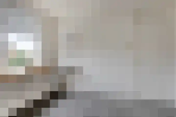 Merelhoven 353 Capelle aan den IJssel thumbnail 15