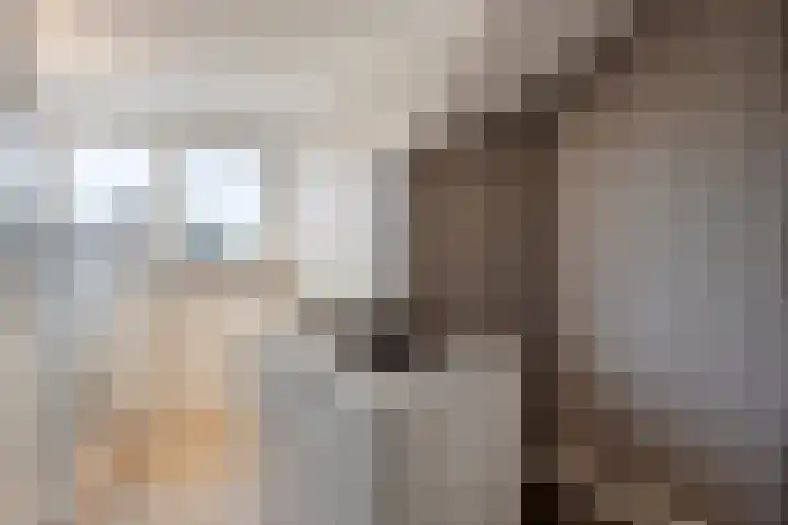Merelhoven 353 Capelle aan den IJssel thumbnail 16