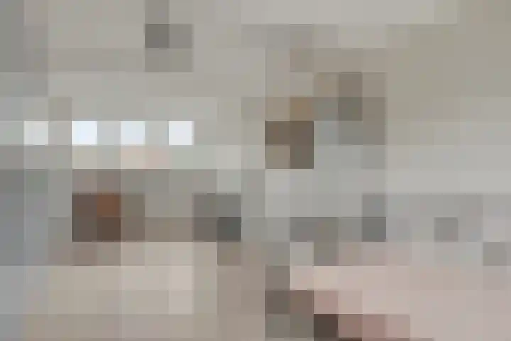 Merelhoven 353 Capelle aan den IJssel thumbnail 17