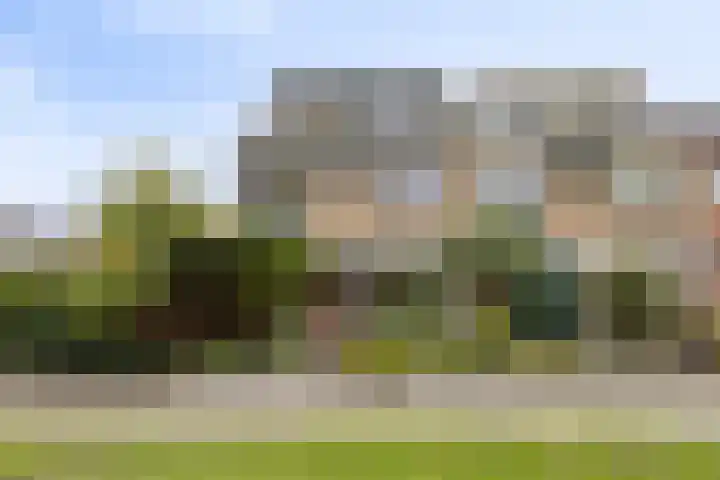 Merelhoven 353 Capelle aan den IJssel thumbnail 24