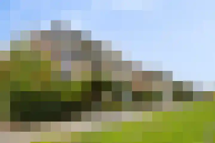 Merelhoven 353 Capelle aan den IJssel thumbnail 25