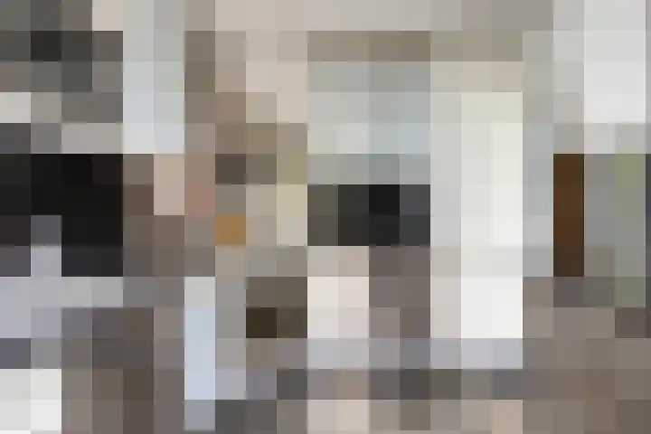 Merelhoven 353 Capelle aan den IJssel thumbnail 8