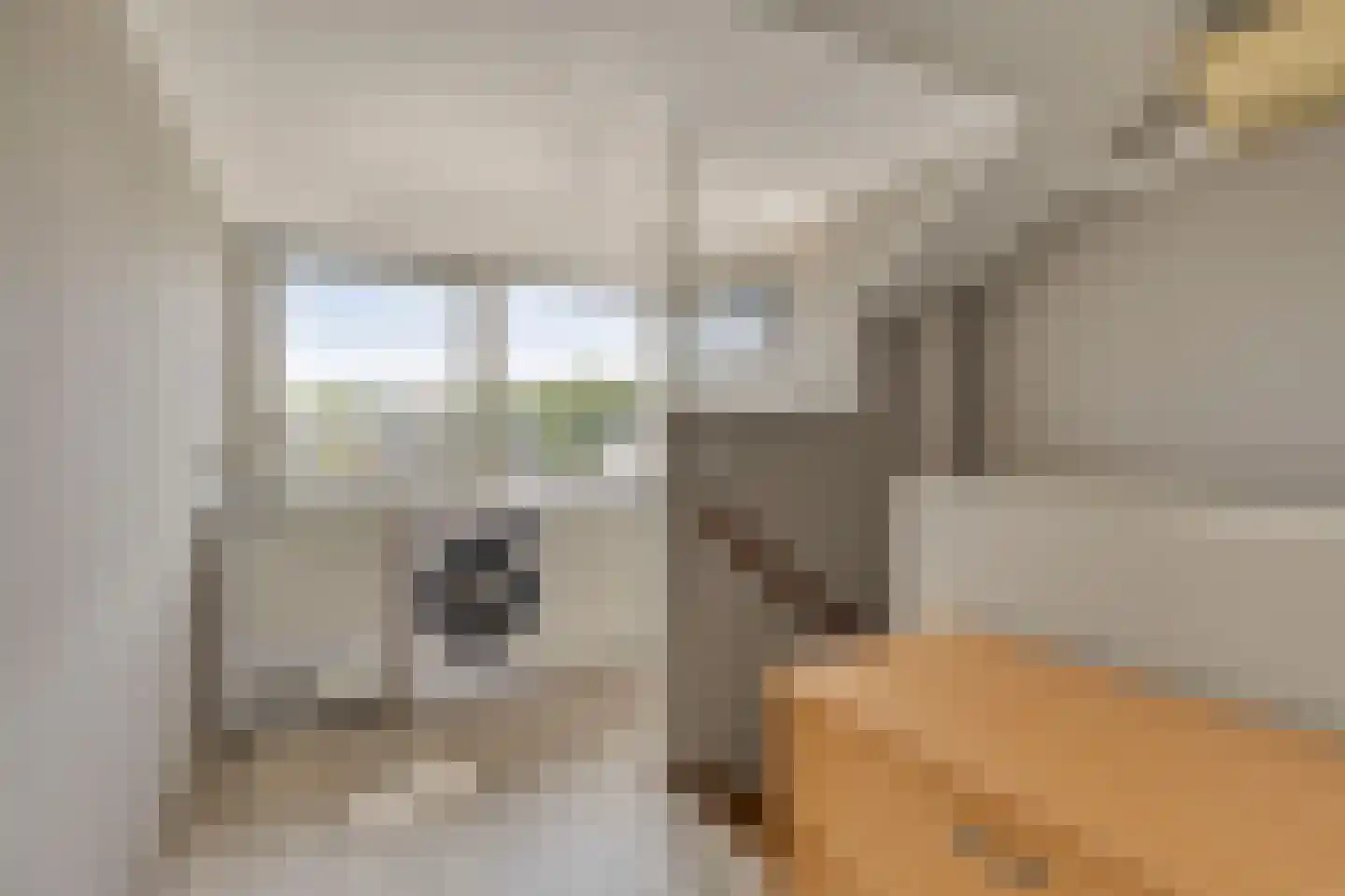 Merelhoven 397 Capelle aan den IJssel thumbnail 30